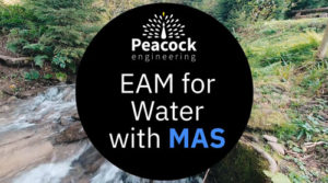 IBM Maximo for Water Utilities